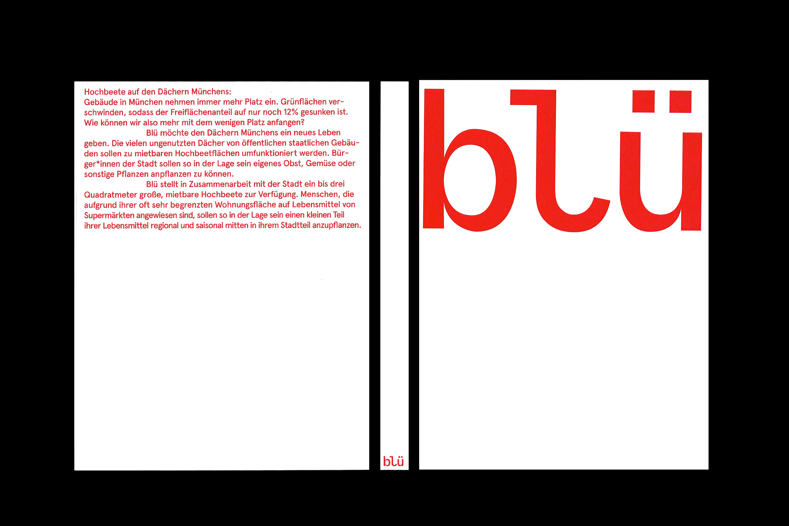 000-BlüBook-D