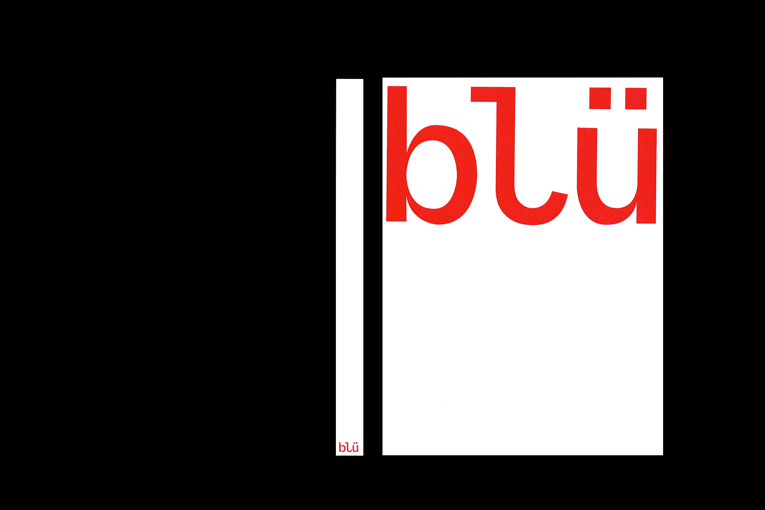 001-BlüBook-D