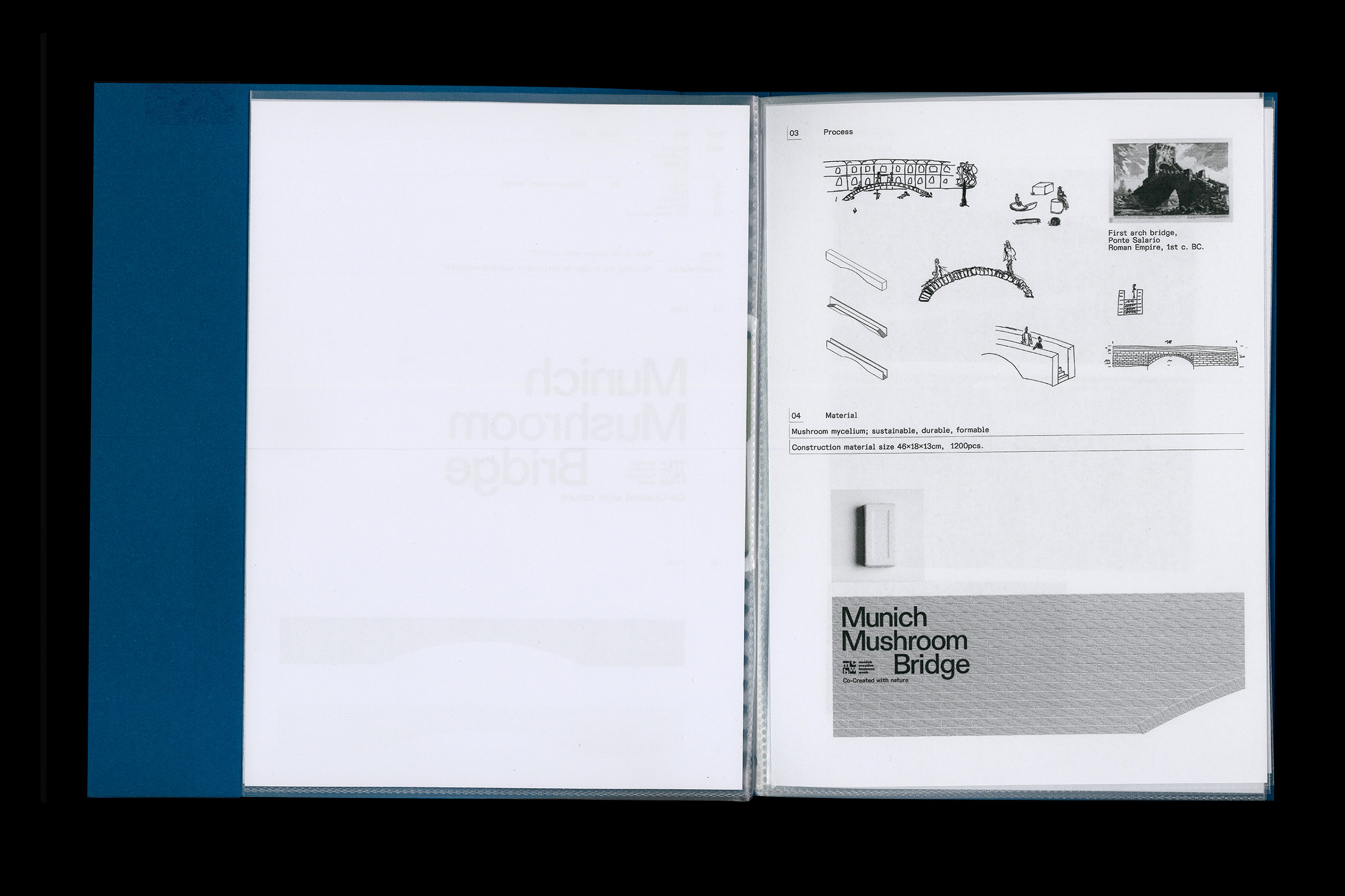 Munich Mushroom Bridge