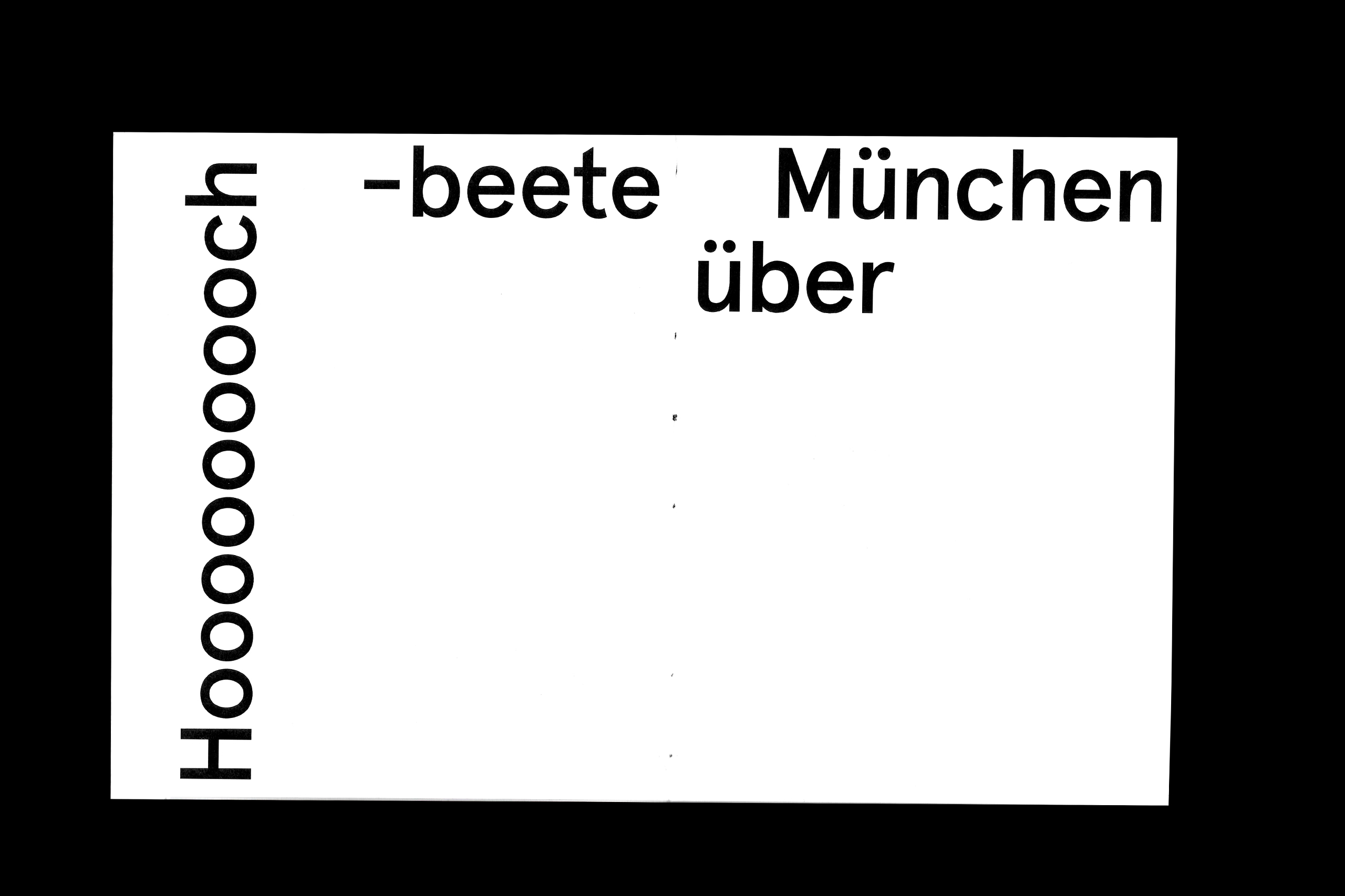 011-BlüBook-D